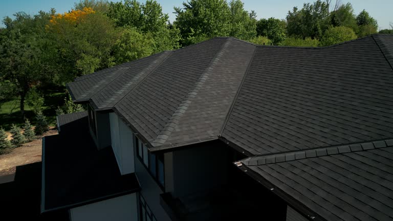 Best Skylight Installation and Repair  in Arlington, TX