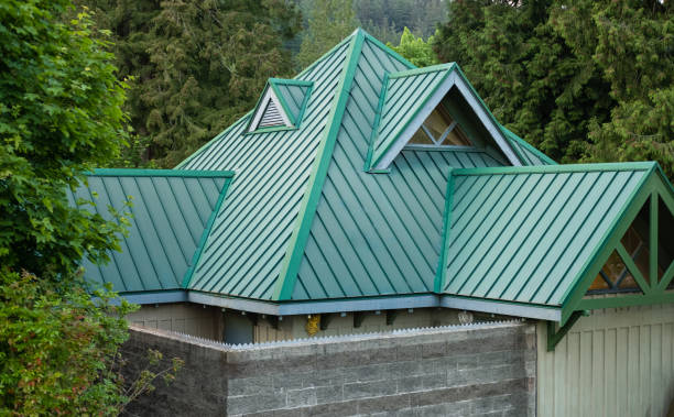 Best Skylights  in Arlington, TX
