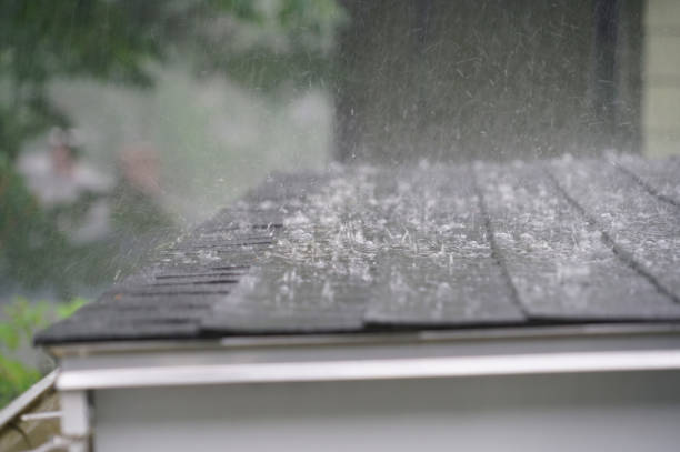 Best Green or Eco-Friendly Roofing Solutions  in Arlington, TX