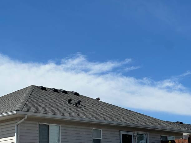 Best Commercial Roofing Services  in Arlington, TX